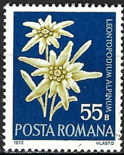 Roumanie - 1972 - Y & T n° 2684 - O.