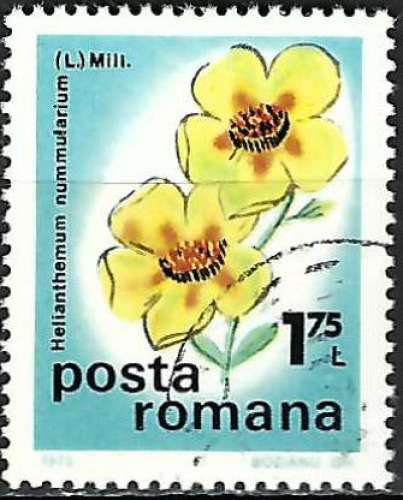 Roumanie - 1975 - Y & T n° 2915 - O.