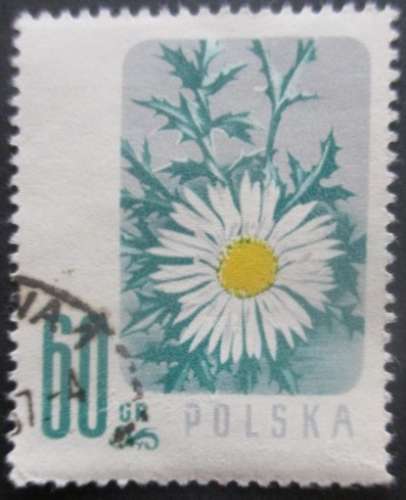 POLOGNE N°904 Marguerite oblitéré