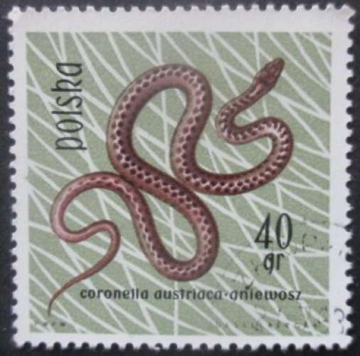 POLOGNE N°1260 Serpent oblitéré