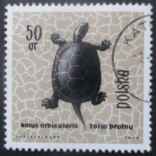 POLOGNE N°1261 Tortue oblitéré