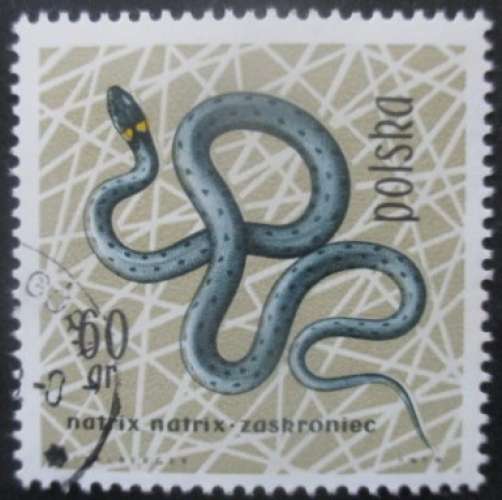 POLOGNE N°1262 Couleuvre oblitéré