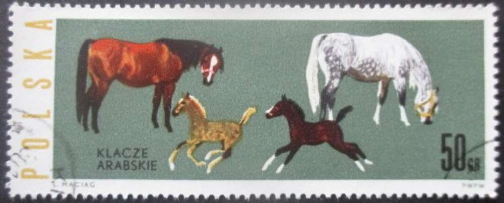 POLOGNE N°1315 Chevaux oblitéré