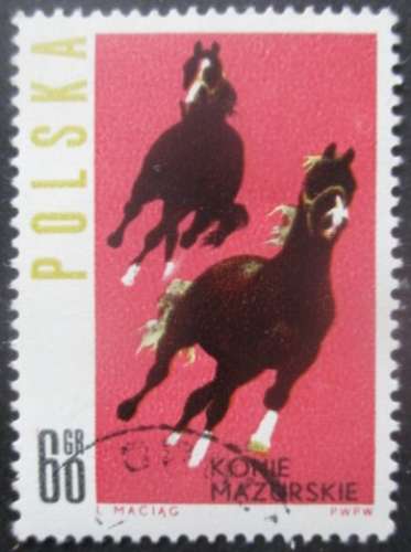 POLOGNE N°1316 Chevaux oblitéré