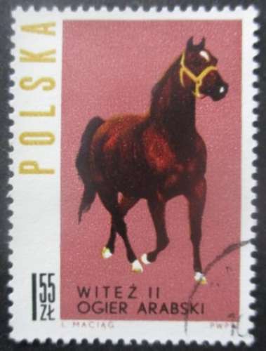 POLOGNE N°1318 Cheval oblitéré