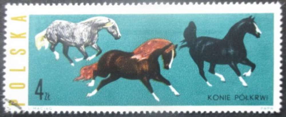 POLOGNE N°1320 Chevaux oblitéré