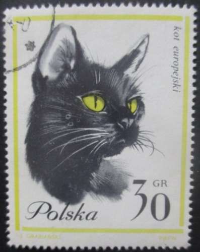 POLOGNE N°1332 Chat oblitéré