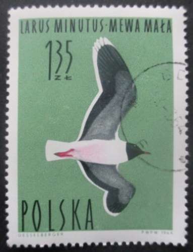 POLOGNE N°1352 Mouette oblitéré