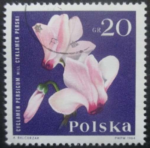 POLOGNE N°1394 Cyclamen oblitéré