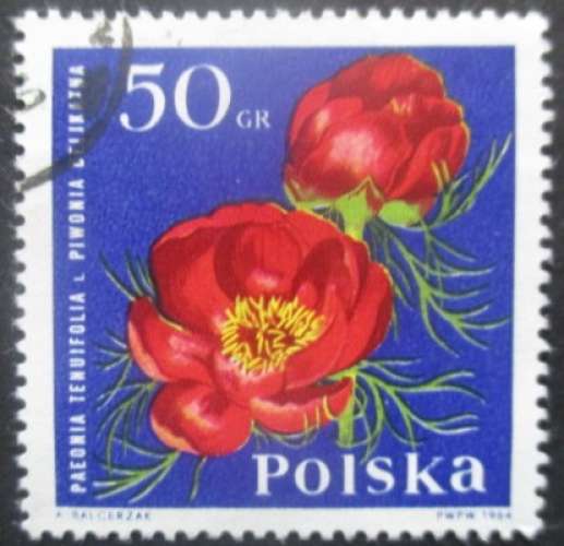 POLOGNE N°1397 Pivoines oblitéré