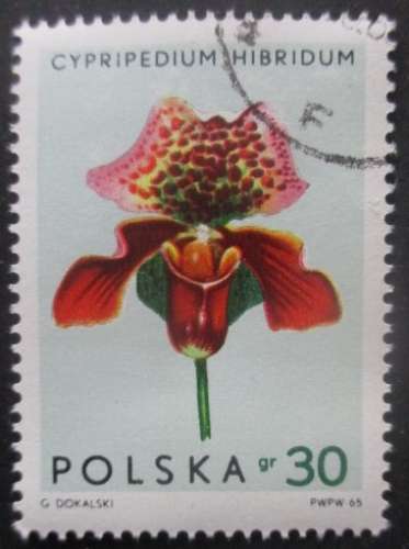 POLOGNE N°1464 Orchidées oblitéré