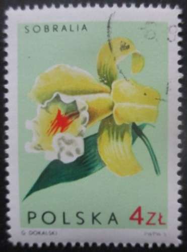 POLOGNE N°1469 Orchidées oblitéré