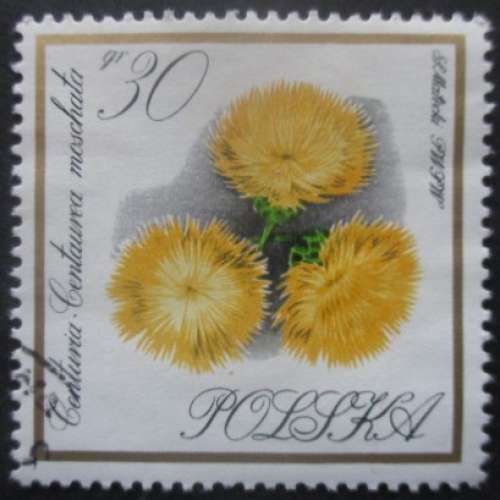 POLOGNE N°1548 Fleurs oblitéré