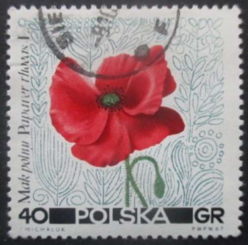 POLOGNE N°1637 Coquelicot oblitéré