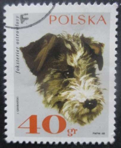 POLOGNE N°1749 Chien oblitéré