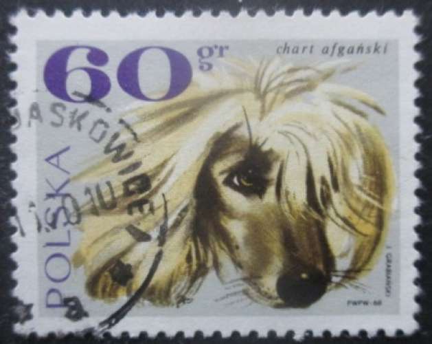 POLOGNE N°1750 Chien oblitéré