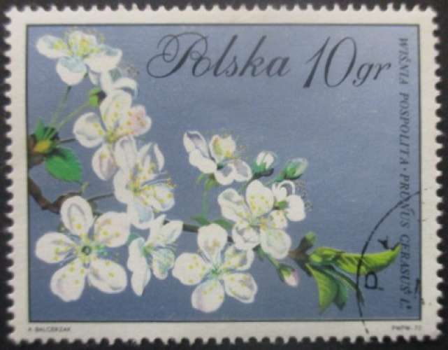 POLOGNE N°1979 Fleurs oblitéré