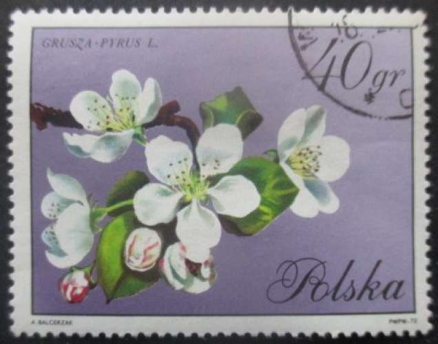 POLOGNE N°1981 Fleurs oblitéré