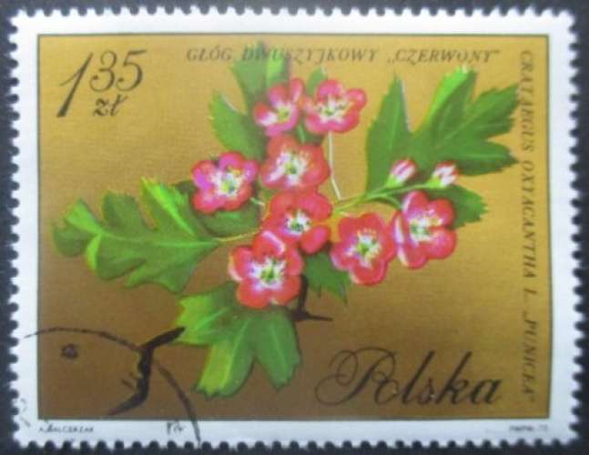 POLOGNE N°1984 Fleurs oblitéré