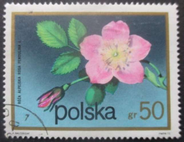 POLOGNE N°2059 Fleurs oblitéré