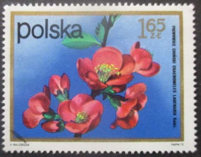 POLOGNE N°2061 Fleurs oblitéré