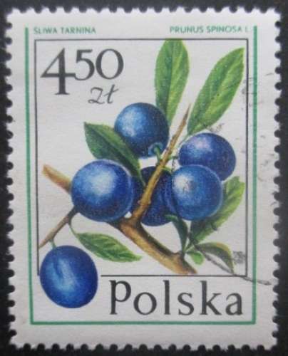 POLOGNE N°2321 Prunes oblitéré