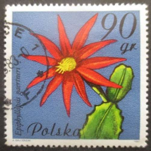 POLOGNE N°2599 Fleur de cactus oblitéré