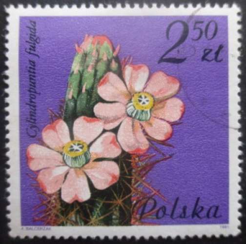 POLOGNE N°2602 Fleur de cactus oblitéré