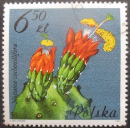 POLOGNE N°2604 Fleur de cactus oblitéré