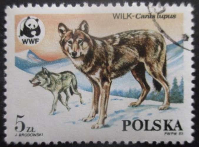 POLOGNE N°2787 Loups oblitéré