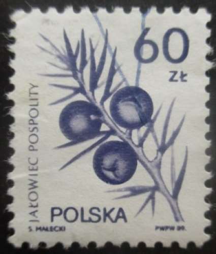 POLOGNE N°3025 oblitéré