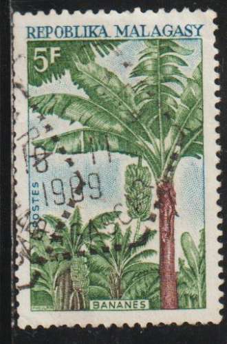 MADAGASCAR 1969 - Y&T  N° 465