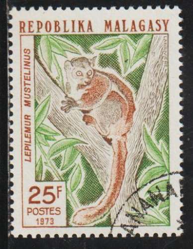 MADAGASCAR 1973 - Y&T  N° 537