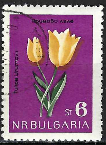 Bulgarie - 1963 - Y & T n° 1212 - O.