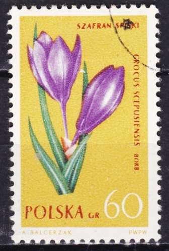 Pologne - Année 1962 - Y& T N° 1185