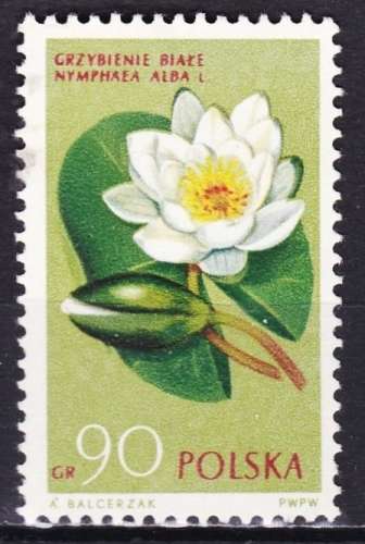 Pologne - Année 1962 - Y& T N° 1190