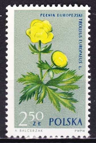 Pologne - Année 1962 - Y& T N° 1194