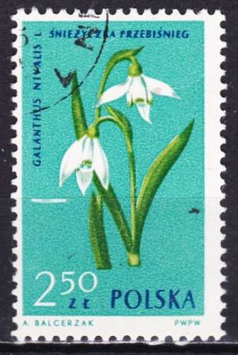 Pologne - Année 1962 - Y& T N° 1195