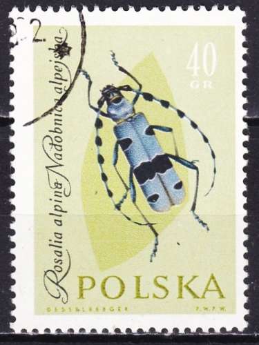 Pologne - Année 1962 - Y& T N° 1142