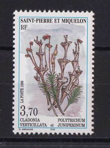 SAINT PIERRE ET MIQUELON   YT   n° 626     neuf **    1996