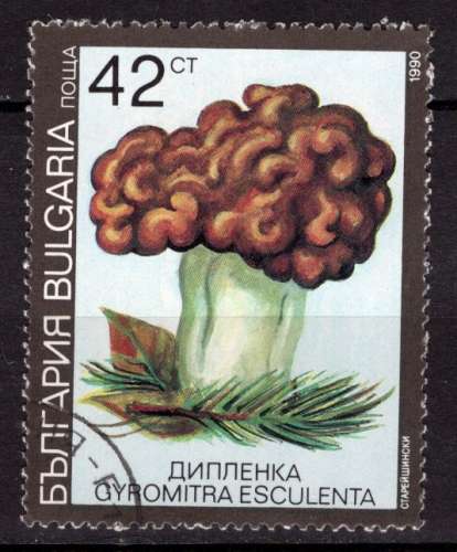 BULGARIE 1991 LES CHAMPIGNONS OBLITERE