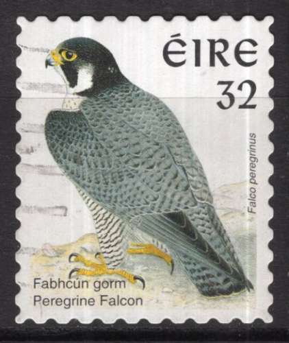 IRLANDE 1997 LES OISEAUX LE FAUCON PELERIN OBLITERE