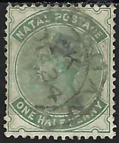 Natal - 1882-89 - Y & T n° 43 - O. (aminci)