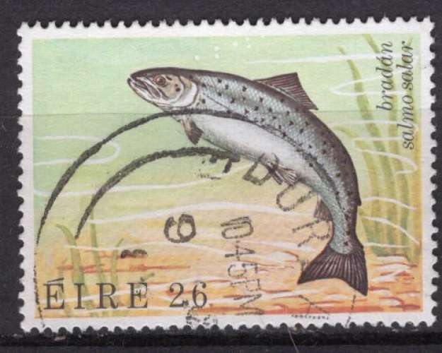 IRLANDE 1982 POISSON SAUMON DE L'ATLANTIQUE OBLITERE