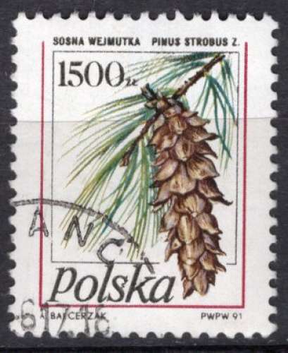 POLOGNE 1991 LA POMME DE PIN OBLITERE