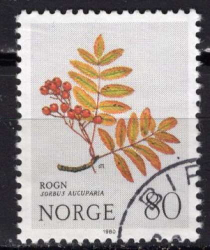 NORVEGE 1980 PLANTE SAUVAGE SORBIER DES OISELEURS  OBLITERE