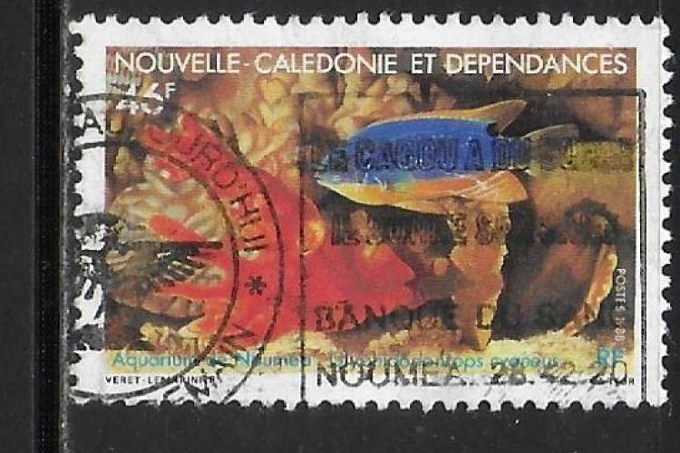 Nouvelle Calédonie - Y&T n° 552 - Oblitéré / Used - 1988