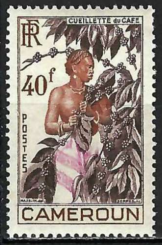 Cameroun - 1954 - Y & T n° 299 - MNH