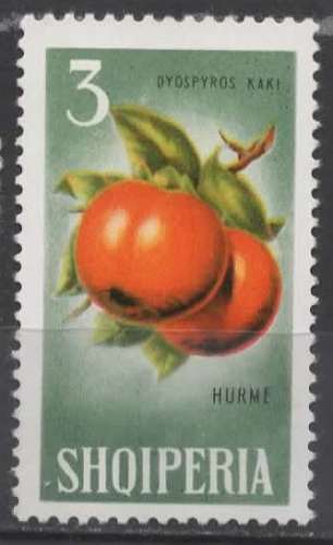 ALBANIE N° 740 * Y&T 1965 Fruits hivernaux (pommes douces)