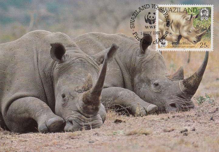 Swaziland 1987  Y&T  525/28  rhinocéros sur 4 CM